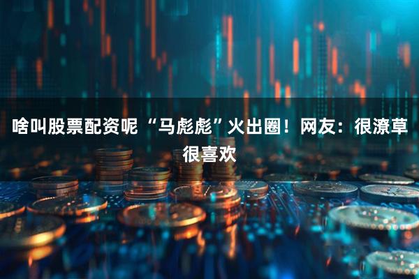 啥叫股票配资呢 “马彪彪”火出圈！网友：很潦草很喜欢