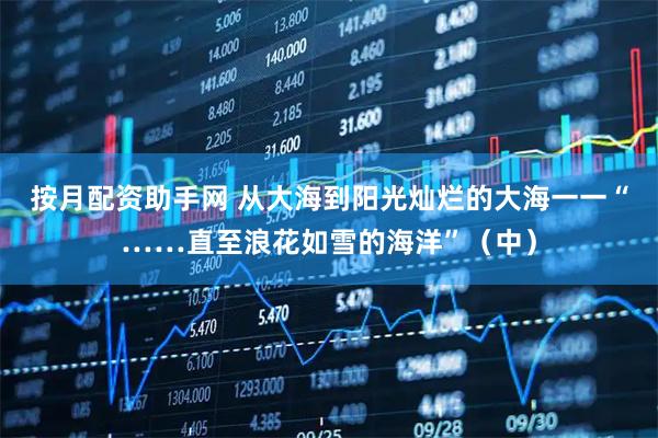 按月配资助手网 从大海到阳光灿烂的大海一一“……直至浪花如雪的海洋”（中）